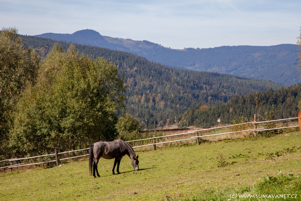 ŽELEZNÁ RUDA - EISENSTEIN UND UMGEBUNG : Wälder, Wiesen ...